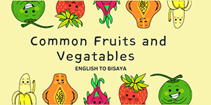 Fruit and Veggies
